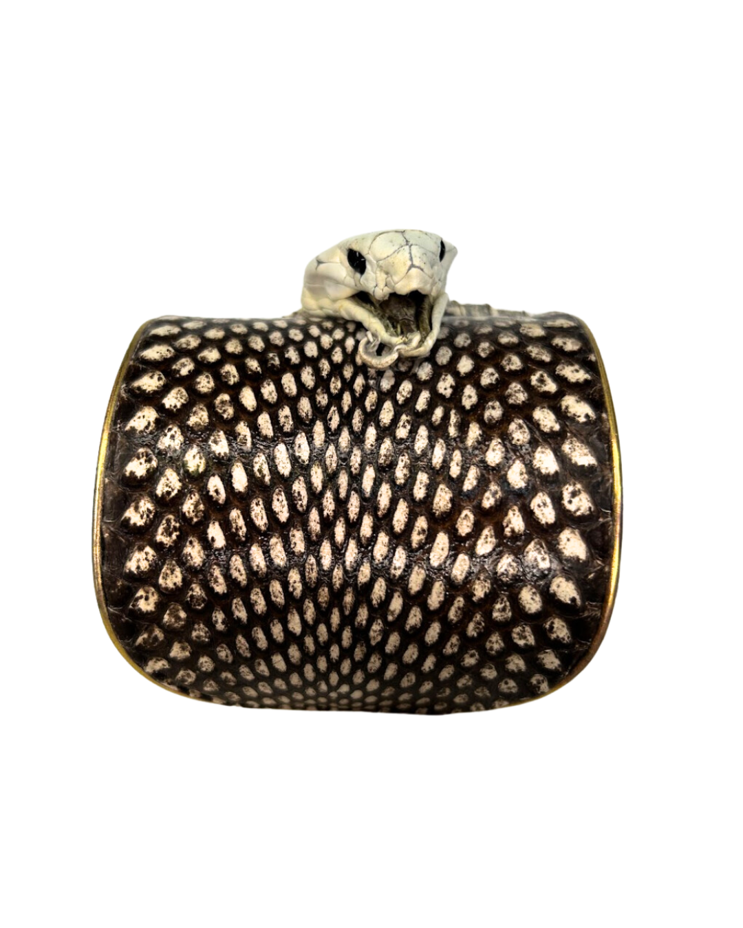 A striking Redd Dott Jewelry cuff featuring the preserved head of a genuine King Cobra snake skin. This unique piece of nature-inspired jewelry showcases the snake’s intricate scales and powerful design, making it a bold statement accessory.