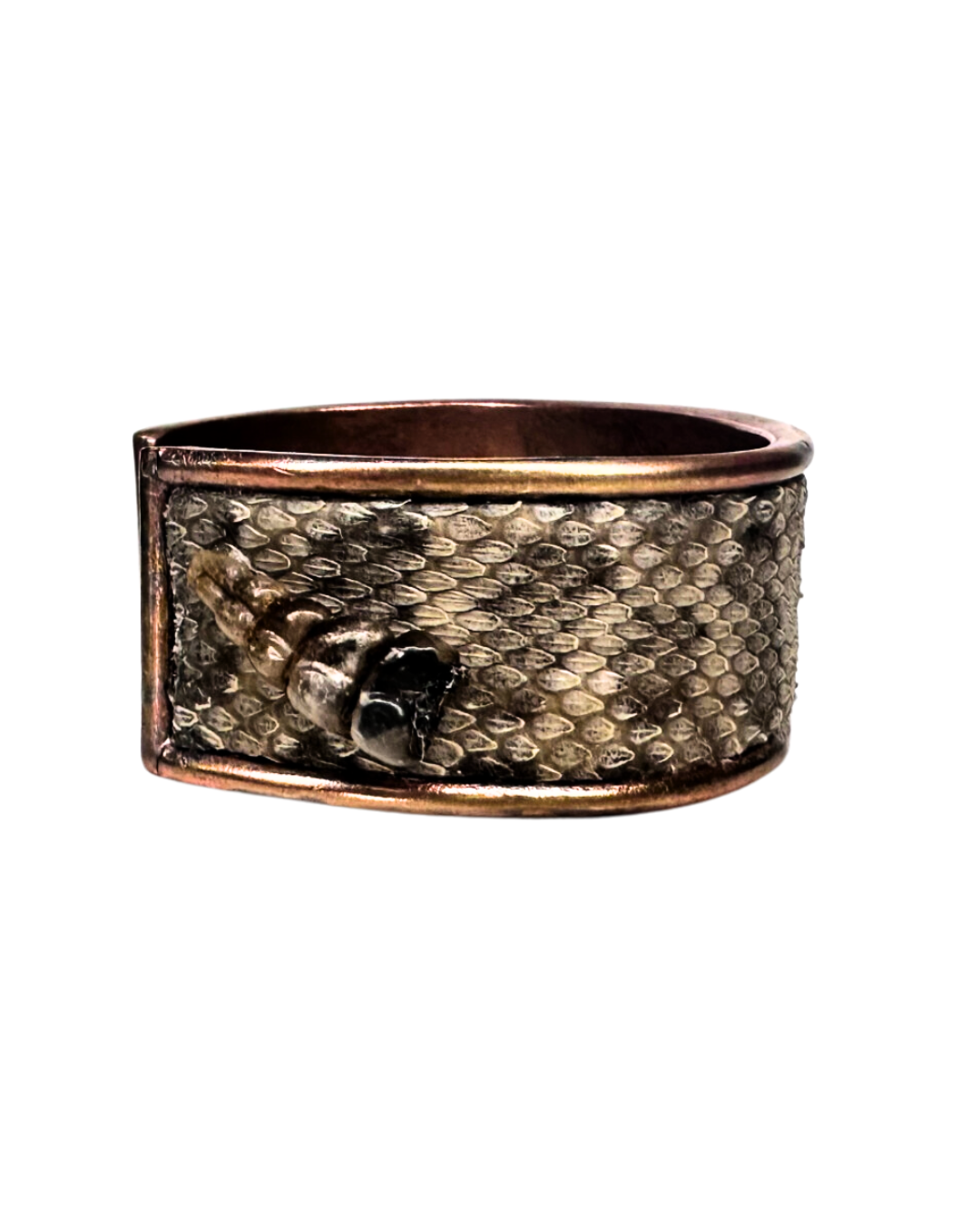 A nature-inspired jewelry cuff by Redd Dott Jewelry, handcrafted with genuine prairie rattlesnake skin and featuring the snake’s rattler. The textured scales and organic design create a bold, rustic statement piece with a unique, wild aesthetic.